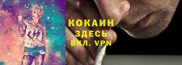молекула духа Алексин