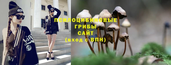 гидра Алексеевка