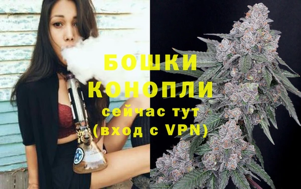 гидра Алексеевка