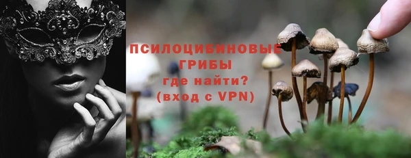 круглые Алзамай