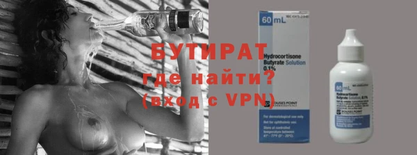 хмурый Аркадак