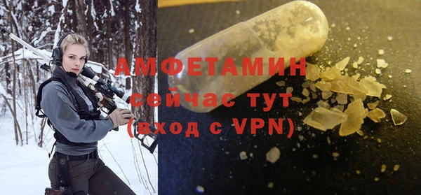 шишки Ельня