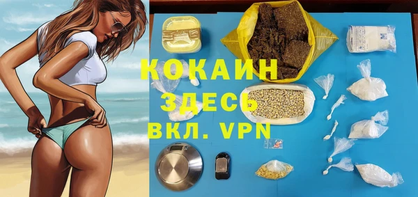 гидра Алексеевка