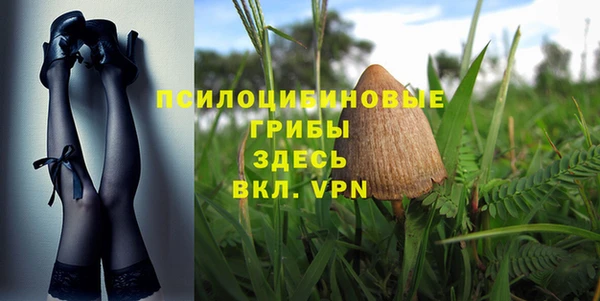 круглые Алзамай