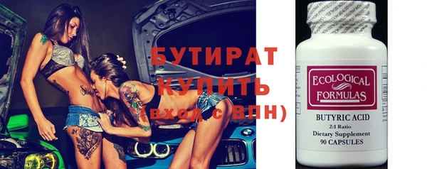хмурый Аркадак